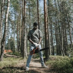 pexels-ron-lach-8821018